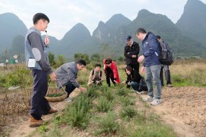 凝心聚力，携手前行 | 2024桂林山水趣游之旅，华工环源团建旅游圆满收官插图4